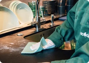 Kitchen Deep Cleaning Services