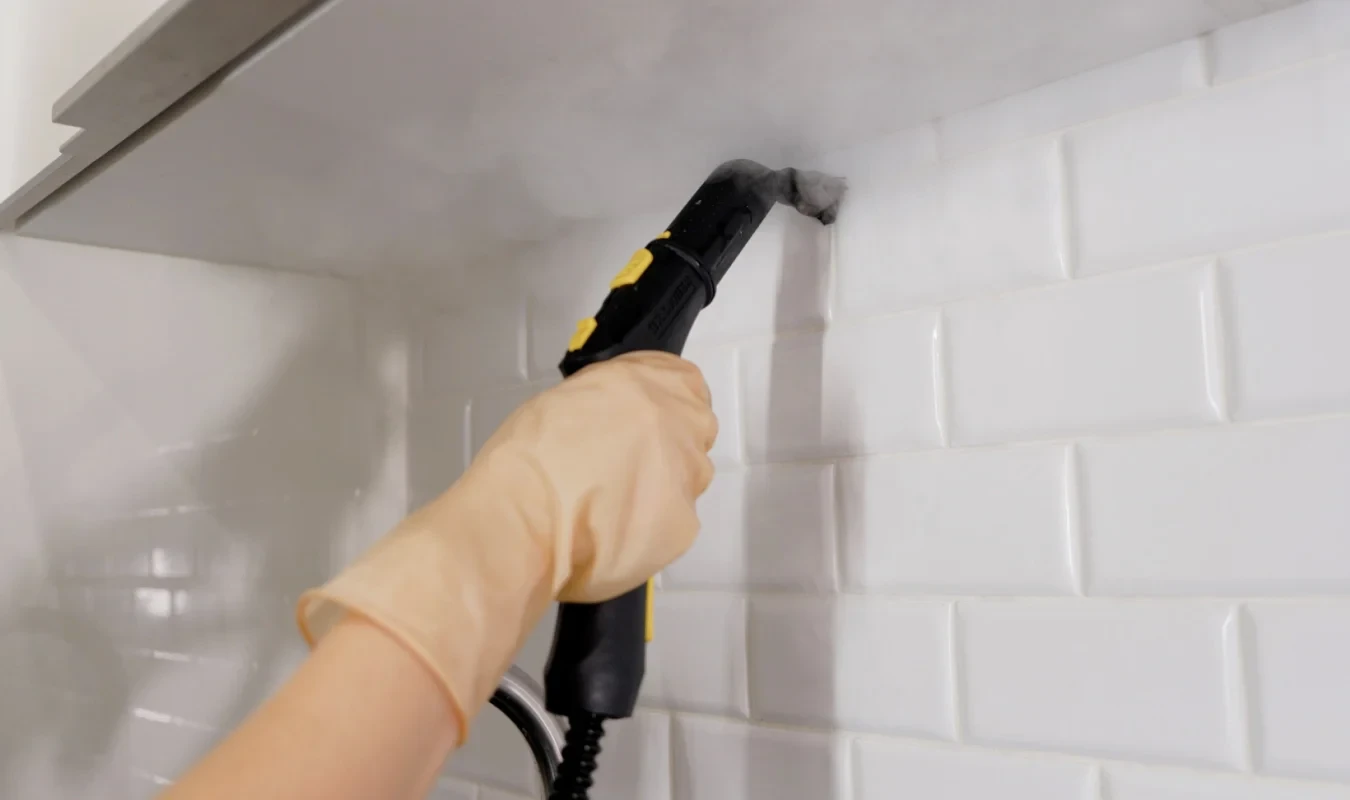 Mold Removal & Cleaning Services